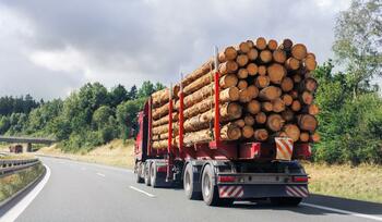 Transport ilegal de lemne, oprit de jandarmi în Rânca. 38 de metri cubi de lemn 