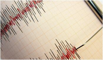 Seim cu magnitudinea de 6,6 în zona cu risc major a Pacificului. Autorităţile exclud pericolul unui tsunami
