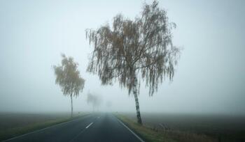 Cod galben de ceaţă în zece judeţe din România. Care sunt zonele vizate