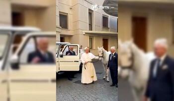 Papa a primit un cal pentru a fi licitat în scop caritabil. Cine i-a făcut acest cadou neașteptat