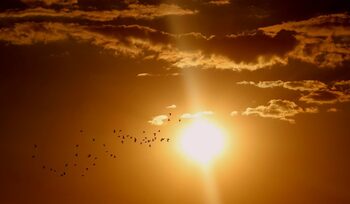 Ziua Mondială a Soarelui, sărbătorită la Institutul Astronomic din București