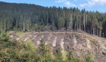 A treia zi de intervenţie a pompierilor pentru stingerea unui incendiu de fond forestier care afectează o suprafaţă (…)