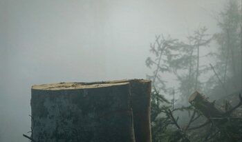 Documentarul „După Cioate”, despre un atac nerezolvat și tăcerea unui sistem, din 28 noiembrie în cinematografe