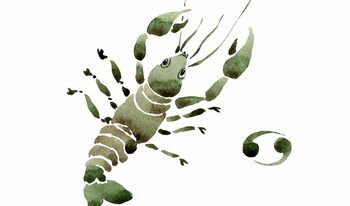 Horoscop anual 2026 Rac. Previziuni pentru zodia Rac, în 2026