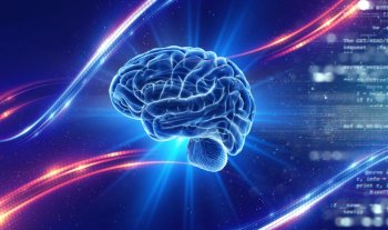 Ce poți face pentru a încetini îmbătrânirea creierului? Nu este foarte complicat!