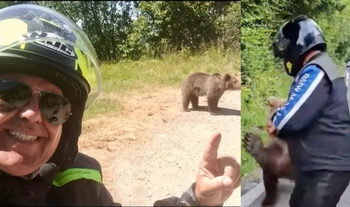 El este turistul de 48 de ani, ucis de o ursoaică pe Transfăgărășan. Și-a fotografiat moartea în timp ce încerca să (…)