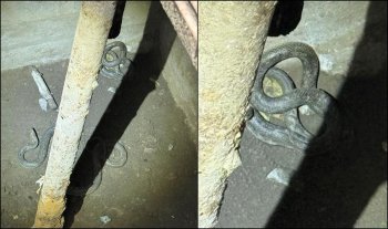 Oaspeţii nepoftiţi. Un bărbat din Tulcea s-a trezit cu doi şerpi de un metru şi jumătate în beciul casei