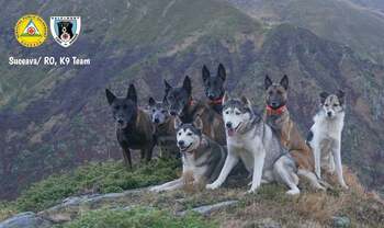 Yan, câinele-erou al Unității Canine Salvamont Suceava, iese la pensie din motive medicale. Predă ștafeta colegului (…)