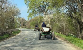 Amendă de 1.600 de lei și suspendarea permisului pentru o greșeală banală în trafic. Mare atenție la căruțe și alte (…)