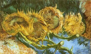 Van Gogh și ce reprezintă, de fapt, tablourile lui cu floarea-soarelui
