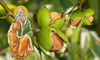 Ce e bine să împarți de Sfântul Ilie 2025. Alimentele pe care e bine să le dai de pomană pe 20 iulie
