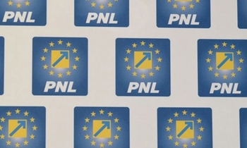 PNL și-a desemnat vicepreședinții regionali: cei opt lideri validați în urma alegerilor interne