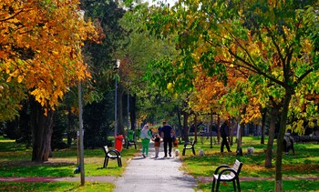 Ce facem astăzi, 4 noiembrie, în Oradea?