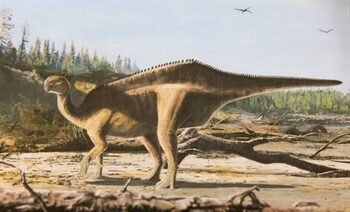 O nouă specie de dinozaur „extravagantă” a fost descoperită pe Insula Wight