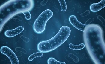 Cercetătorii vor să transforme bacteriile în procesoare digitale