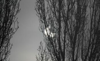 Eclipsa de Soare