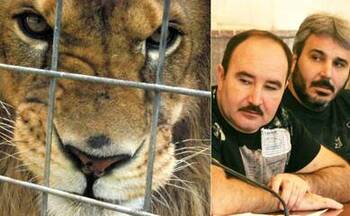 Clanul Cămătaru, ultimele ştiri