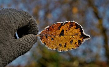 Vremea se schimbă brusc: temperaturi cu 10 grade mai mici, ploi, lapoviță și brumă