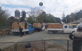 IPJ Ialomița: Acțiune a polițiștilor pentru protejarea fondului forestier