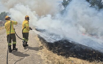 Incendiu de vegetație pe strada Digului din Oradea. Pompierii intervin la fața locului