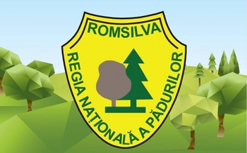 Scandal la Romsilva: Sindicaliștii somează Ministerul Mediului să retragă programul de reformă