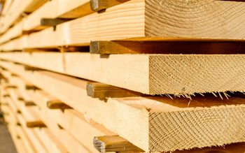 Dolj: Societate din Argetoaia care comercializează cherestea, prinsă cu nereguli