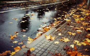 Meteo București: Maximă de 21 de grade, cer variabil, ploi temporare și vânt, pe parcursul zilei de vineri