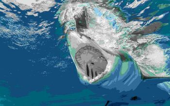 După sute de milioane de ani în oceanele lumii, rechinii încep să aibă probleme cu dinții. Ce-i afectează