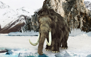 Puzzle genetic vechi de milenii: Cercetătorii descifrează ARN-ul unui mamut de 40.000 de ani