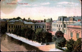 O comedie adevărată: Cum a fost luat Palatul Regal cu „asalt” de Opoziția Unită