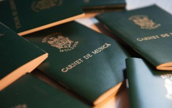 Cum îți verifici cartea de muncă online: ghid complet pentru REGES, ANAF și CNPP