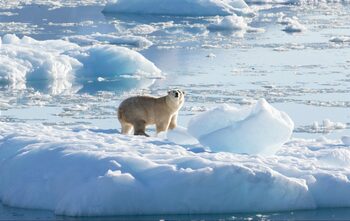 Rămăşiţele unui cercetător britanic, descoperite în Antarctica după 66 de ani