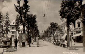 Fabuloasa Românie. Ştiaţi că în Câmpulung există Bulevardul Pardon şi Grădina Publică Merci?