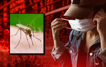 OMS avertizează asupra unei posibile epidemii globale din cauza unui virus transmis de țânțari. Se răspândește (…)