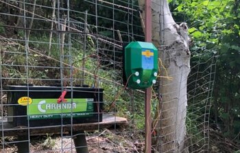 Primul oraș din România care montează gard electric împotriva urșilor. Au fost deja instalați 800 de metri