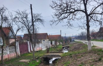 Moștenitorii maghiari pierd în instanță lupta pentru Săcălașu Nou. Primar: „Localnicii au scăpat definitiv de riscul (…)