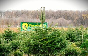 Sindicatul din Romsilva afirmă că CES a returnat către Ministerul Mediului proiectul privind reforma Romsilva, după (…)