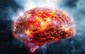 Ce se întâmplă cu creierul atunci când lucrezi în echipă?