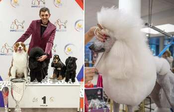 Meseria de frizer de animale, premiată la cel mai înalt nivel. Un groomer din Franța, desemnat cel mai bun din 200 (…)