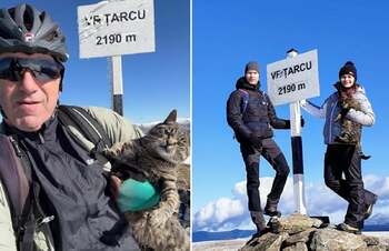 EXCLUSIV I Două pisici trăiesc la peste 2100 de metri altitudine, în cea mai izolată stație meteo din România. (…)