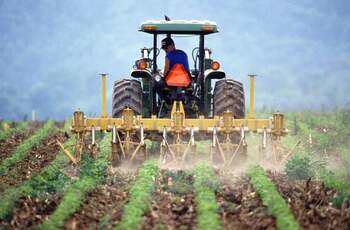 2.100 hectare sunt scoase la licitație de catre ADS, pentru tinerii fermieri / Durata concesiunii este de 20 de ani (…)