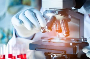 Un studiu genetic schimbă complet istoria migrației umane: Descoperiri surprinzătoare despre drumul strămoșilor