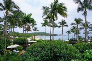 Insula din Hawaii deținută aproape în totalitate de un singur om. Câți oameni trăiesc aici?