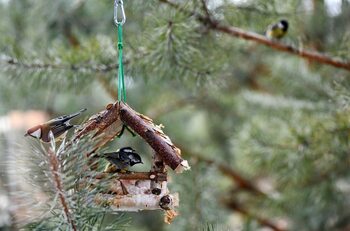 Cum va fi vremea la începutul lui decembrie