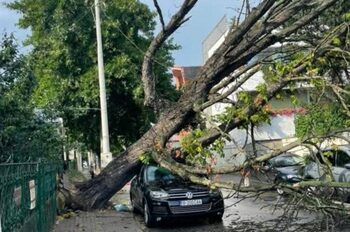 Furtună în Capitală și în mai multe județe: O femeie a murit. Doi răniți, mașini strivite de copaci (Foto & Video)