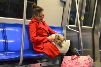 România, destinație pet-friendly! Parteneriat pentru un turism prietenos cu animalele: Educație, responsabilitate și (…)