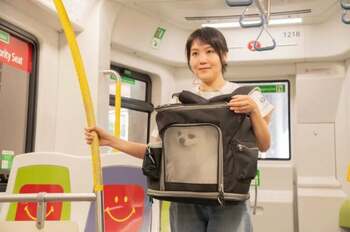 Metroul din Hong Kong devine “pet-friendly”: Cum a reușit un oraș să adapteze transportul public pentru animalele de (…)