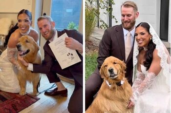 Avocata care câștigă o avere datorită câinelui ei: „Este un vis devenit realitate”. Cum a transformat un simplu (…)