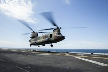 Armata americană a efectuat un al doilea atac în care i-a ucis pe supravieţuitorii de pe o ambarcaţiune din Marea (…)