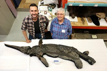 „Dragonul-sabie”, o nouă specie de reptilă marină preistorică identificată de oamenii de ştiinţă de la Universitatea (…)